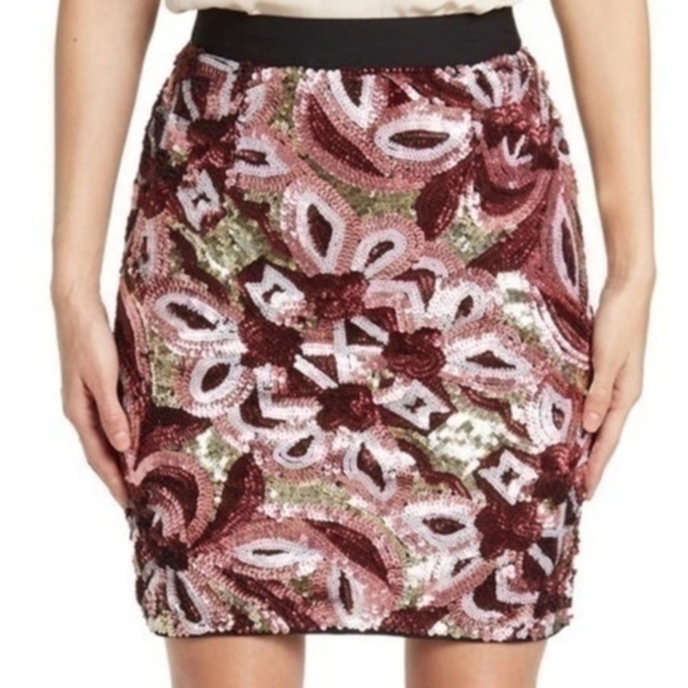 Walter Baker Portia Skirt
size 2 New with Tag Original price $298